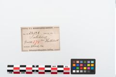 Etikett zu Bronzebrillenfibel (NHMW-PRAE-024528)
